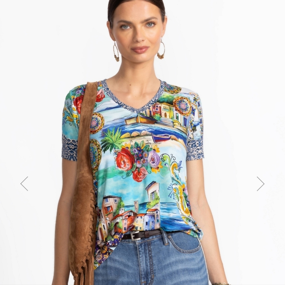 Johnny Was Multicolor Scenic Print Women's Top